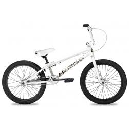 Велосипед BMX Eastern PAYDIRT 2021 20 белый
